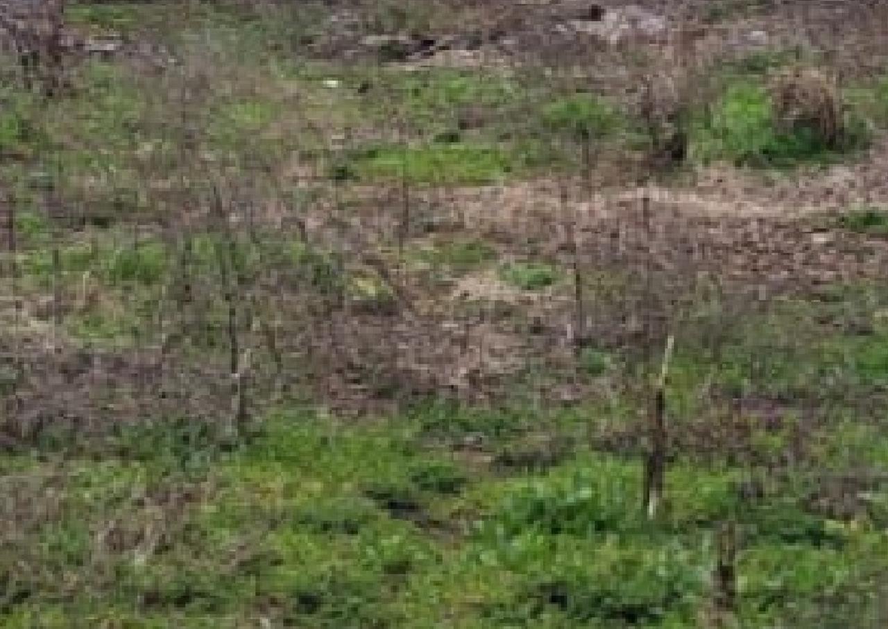 Teren INTRAVILAN 4500 mp /18 m, comuna Bălești, langa Fantana lui Cosbuc, Pret 18000 euro